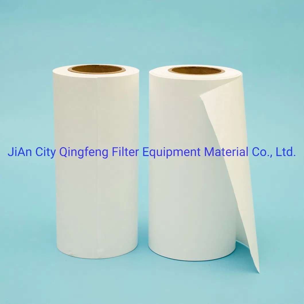 0.2 Micron Nylon Micropore Filter Membrane for Chemical and Water Treatment