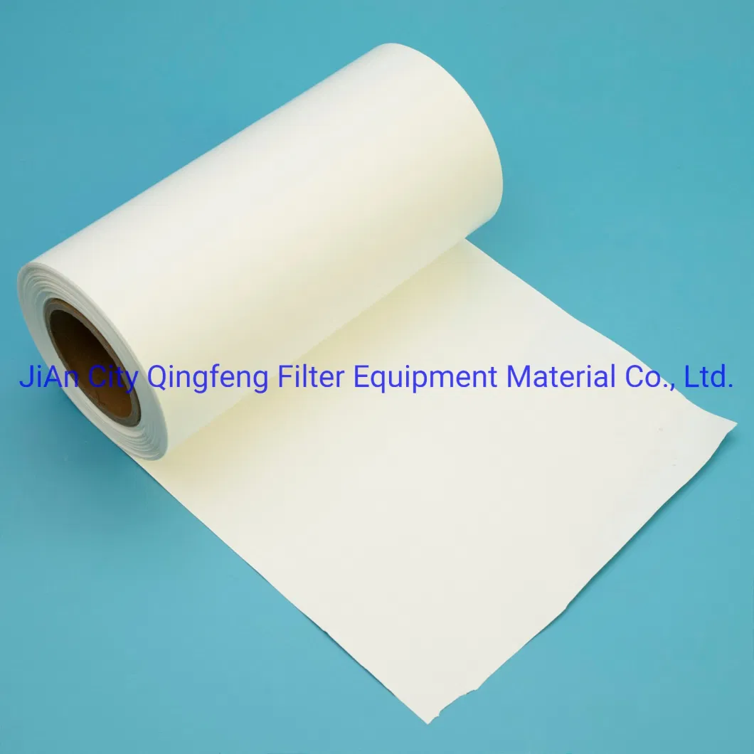 0.2 Micron Nylon Micropore Filter Membrane for Chemical and Water Treatment
